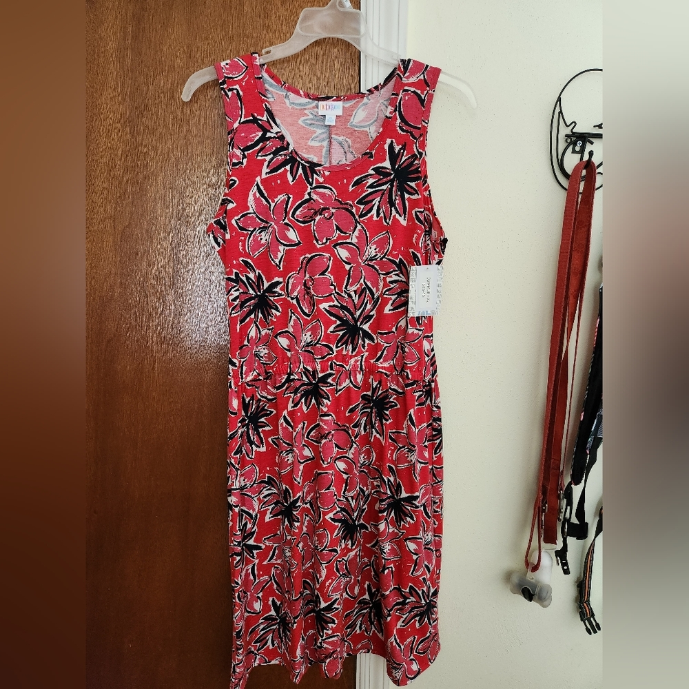 BNWT Lularoe Summer dress